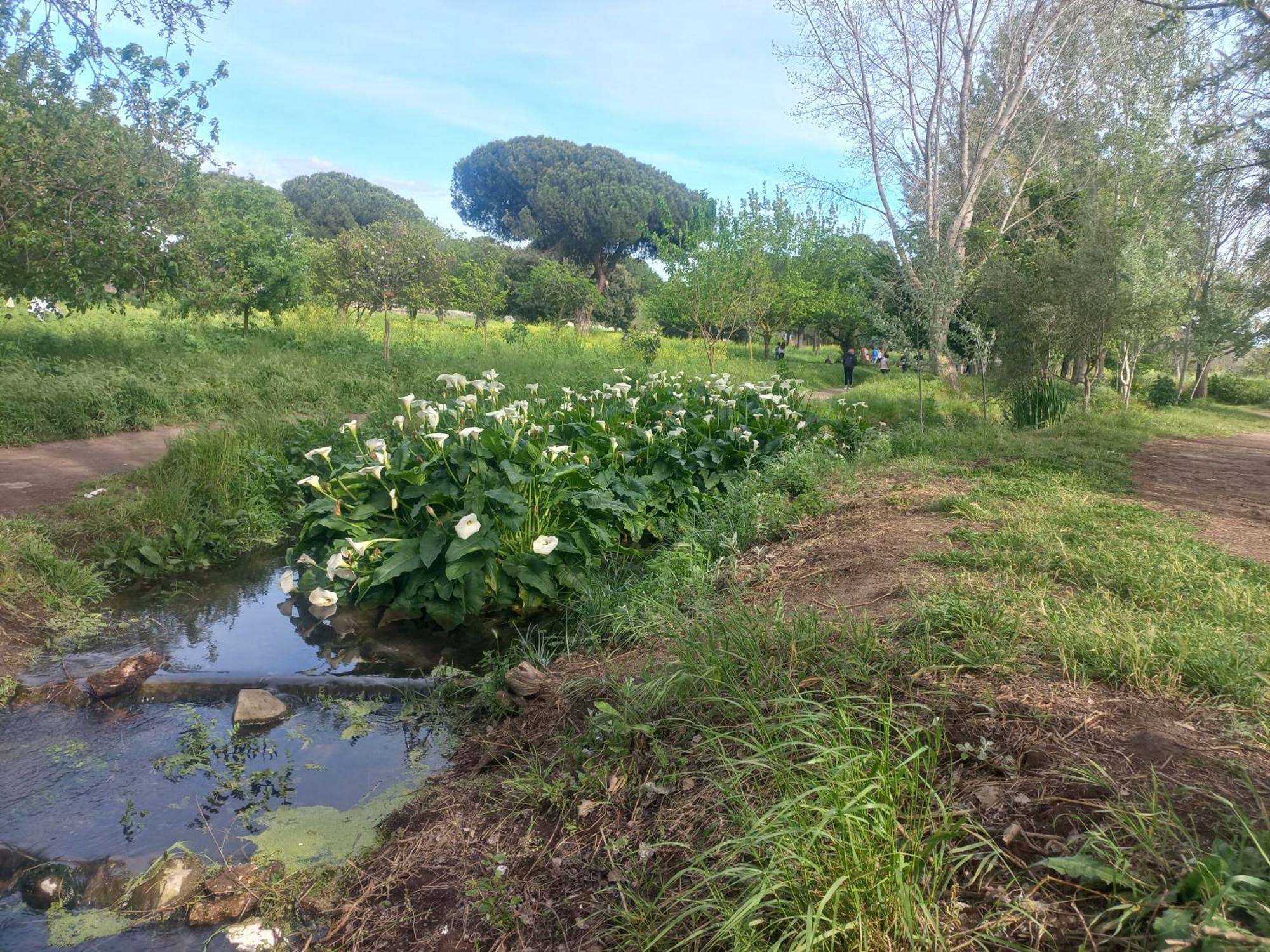 Appartamento A Casa Di Mori *